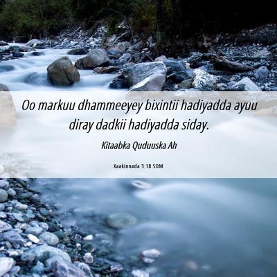 Picture 06 - Xaakinnada 3:18 SOM - Oo markuu dhammeeyey bixintii hadiyadda ayuu - Bible Verse Picture