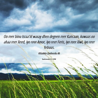 Picture 06 - Xaakinnada 3:5 SOM - Oo reer binu Israa'iil waxay dhex degeen reer - Bible Verse Picture