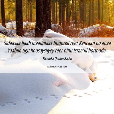 Picture 06 - Xaakinnada 4:23 SOM - Sidaasaa Ilaah maalintaas boqorkii reer Kancaan - Bible Verse Picture