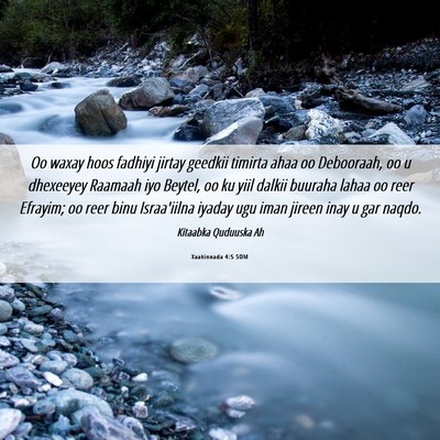 Picture 06 - Xaakinnada 4:5 SOM - Oo waxay hoos fadhiyi jirtay geedkii timirta ahaa - Bible Verse Picture