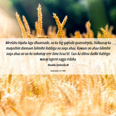 Picture 06 - Xaakinnada 5:11 SOM - Meelaha biyaha laga dhaansado, oo ka fog qaylada - Bible Verse Picture