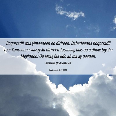 Picture 06 - Xaakinnada 5:19 SOM - Boqorradii waa yimaadeen oo dirireen, Dabadeedna - Bible Verse Picture
