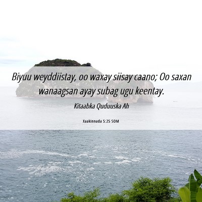 Picture 06 - Xaakinnada 5:25 SOM - Biyuu weyddiistay, oo waxay siisay caano; Oo - Bible Verse Picture