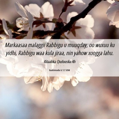 Picture 06 - Xaakinnada 6:12 SOM - Markaasaa malaggii Rabbigu u muuqday, oo wuxuu ku - Bible Verse Picture
