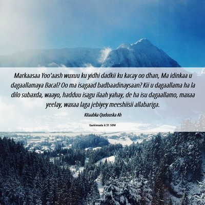 Picture 06 - Xaakinnada 6:31 SOM - Markaasaa Yoo'aash wuxuu ku yidhi dadkii ku kacay - Bible Verse Picture