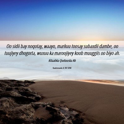 Picture 06 - Xaakinnada 6:38 SOM - Oo sidii bay noqotay, waayo, markuu toosay - Bible Verse Picture