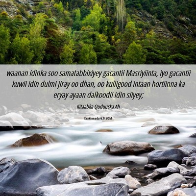 Picture 06 - Xaakinnada 6:9 SOM - waanan idinka soo samatabbixiyey gacantii - Bible Verse Picture