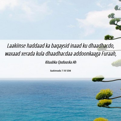Picture 06 - Xaakinnada 7:10 SOM - Laakiinse haddaad ka baqaysid inaad ku - Bible Verse Picture
