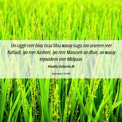 Picture 06 - Xaakinnada 7:23 SOM - Oo raggii reer binu Israa'iilna waxay isaga soo - Bible Verse Picture