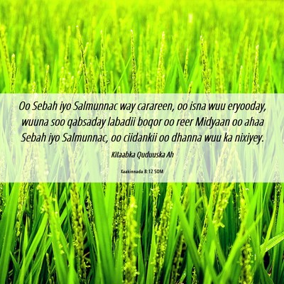 Picture 06 - Xaakinnada 8:12 SOM - Oo Sebah iyo Salmunnac way carareen, oo isna wuu - Bible Verse Picture