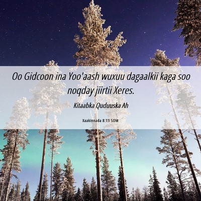 Picture 06 - Xaakinnada 8:13 SOM - Oo Gidcoon ina Yoo'aash wuxuu dagaalkii kaga soo - Bible Verse Picture