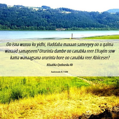 Picture 06 - Xaakinnada 8:2 SOM - Oo isna wuxuu ku yidhi, Haddaba maxaan sameeyey - Bible Verse Picture