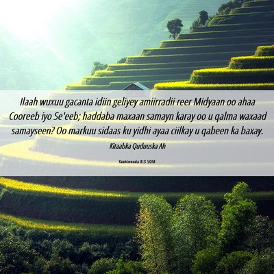 Picture 06 - Xaakinnada 8:3 SOM - Ilaah wuxuu gacanta idiin geliyey amiirradii reer - Bible Verse Picture