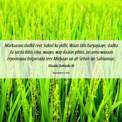 Picture 06 - Xaakinnada 8:5 SOM - Markaasuu dadkii reer Sukod ku yidhi, Waan idin - Bible Verse Picture