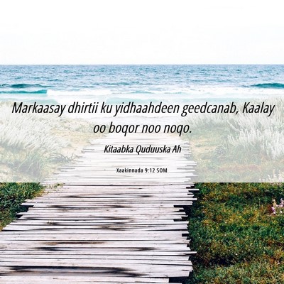 Picture 06 - Xaakinnada 9:12 SOM - Markaasay dhirtii ku yidhaahdeen geedcanab, - Bible Verse Picture