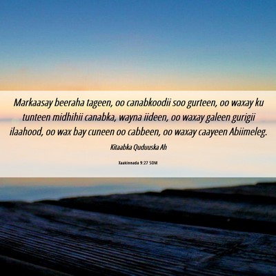 Picture 06 - Xaakinnada 9:27 SOM - Markaasay beeraha tageen, oo canabkoodii soo - Bible Verse Picture