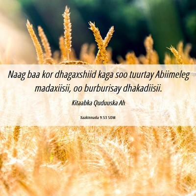 Picture 06 - Xaakinnada 9:53 SOM - Naag baa kor dhagaxshiid kaga soo tuurtay - Bible Verse Picture
