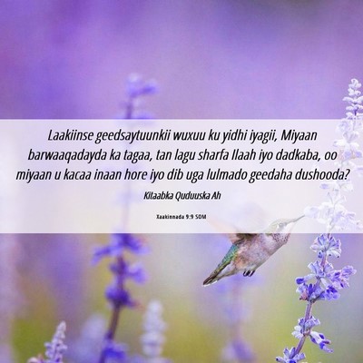 Picture 06 - Xaakinnada 9:9 SOM - Laakiinse geedsaytuunkii wuxuu ku yidhi iyagii, - Bible Verse Picture