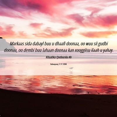 Picture 06 - Xabaquuq 1:11 SOM - Markaas sida dabayl buu u dhaafi doonaa, oo wuu - Bible Verse Picture
