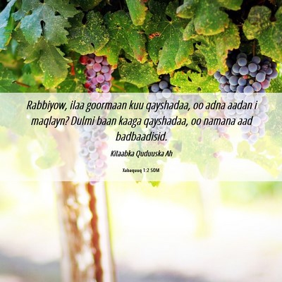 Picture 06 - Xabaquuq 1:2 SOM - Rabbiyow, ilaa goormaan kuu qayshadaa, oo adna - Bible Verse Picture
