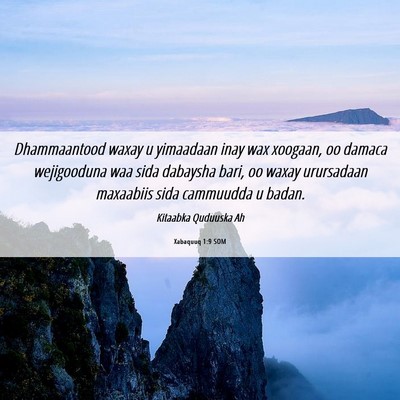 Picture 06 - Xabaquuq 1:9 SOM - Dhammaantood waxay u yimaadaan inay wax xoogaan, - Bible Verse Picture