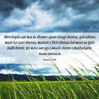 Picture 06 - Xabaquuq 2:1 SOM - Meeshayda aan wax ka dhawro ayaan istaagi doonaa, - Bible Verse Picture