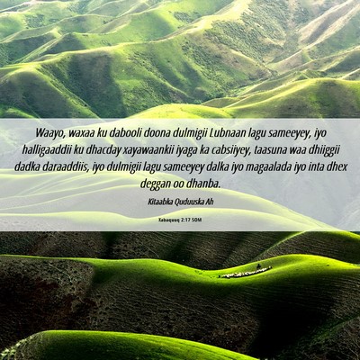 Picture 06 - Xabaquuq 2:17 SOM - Waayo, waxaa ku dabooli doona dulmigii Lubnaan - Bible Verse Picture