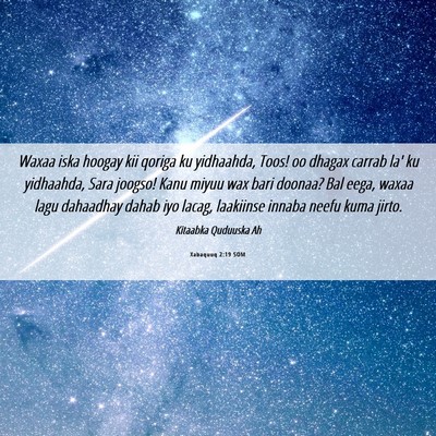 Picture 06 - Xabaquuq 2:19 SOM - Waxaa iska hoogay kii qoriga ku yidhaahda, Toos! - Bible Verse Picture
