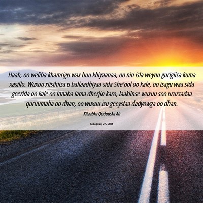 Picture 06 - Xabaquuq 2:5 SOM - Haah, oo weliba khamrigu wax buu khiyaanaa, oo - Bible Verse Picture