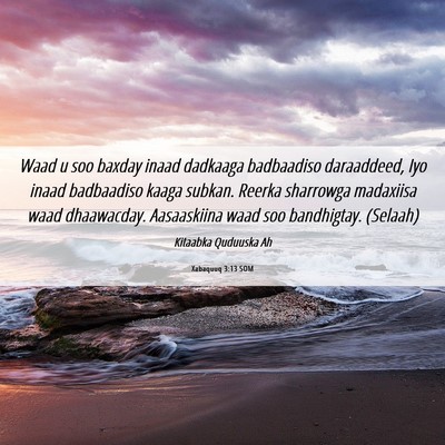 Picture 06 - Xabaquuq 3:13 SOM - Waad u soo baxday inaad dadkaaga badbaadiso - Bible Verse Picture
