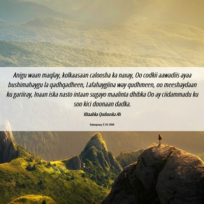Picture 06 - Xabaquuq 3:16 SOM - Anigu waan maqlay, kolkaasaan caloosha ka naxay, - Bible Verse Picture