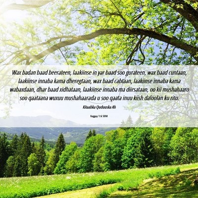 Picture 06 - Xaggay 1:6 SOM - Wax badan baad beerateen, laakiinse in yar baad - Bible Verse Picture