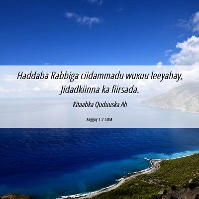 Picture 06 - Xaggay 1:7 SOM - Haddaba Rabbiga ciidammadu wuxuu leeyahay, - Bible Verse Picture