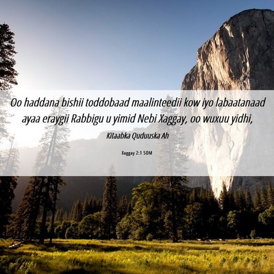 Picture 06 - Xaggay 2:1 SOM - Oo haddana bishii toddobaad maalinteedii kow iyo - Bible Verse Picture
