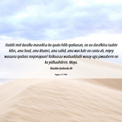 Picture 06 - Xaggay 2:12 SOM - Haddii mid darafka maradiisa ku qaato hilib - Bible Verse Picture
