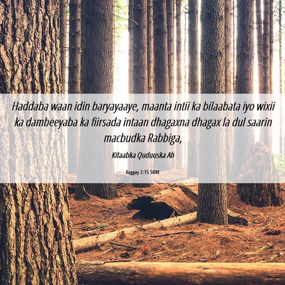 Picture 06 - Xaggay 2:15 SOM - Haddaba waan idin baryayaaye, maanta intii ka - Bible Verse Picture