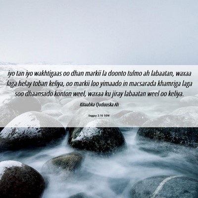 Picture 06 - Xaggay 2:16 SOM - iyo tan iyo wakhtigaas oo dhan markii la doonto - Bible Verse Picture