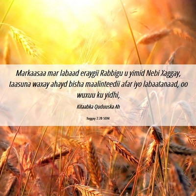 Picture 06 - Xaggay 2:20 SOM - Markaasaa mar labaad eraygii Rabbigu u yimid Nebi - Bible Verse Picture