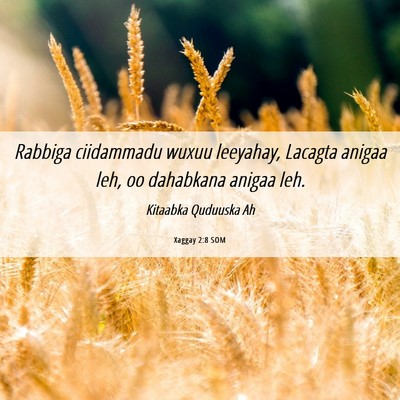 Picture 06 - Xaggay 2:8 SOM - Rabbiga ciidammadu wuxuu leeyahay, Lacagta anigaa - Bible Verse Picture