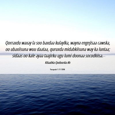 Picture 06 - Yacquub 1:11 SOM - Qorraxdu waxay la soo baxdaa kulaylka, wayna - Bible Verse Picture