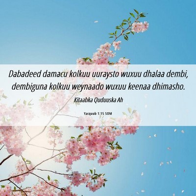 Picture 06 - Yacquub 1:15 SOM - Dabadeed damacu kolkuu uuraysto wuxuu dhalaa - Bible Verse Picture