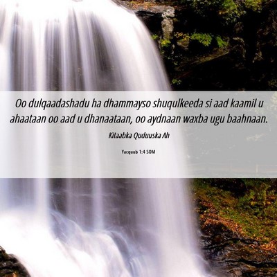 Picture 06 - Yacquub 1:4 SOM - Oo dulqaadashadu ha dhammayso shuqulkeeda si aad - Bible Verse Picture