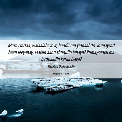 Picture 06 - Yacquub 2:14 SOM - Maxay tartaa, walaalahayow, haddii nin yidhaahdo, - Bible Verse Picture