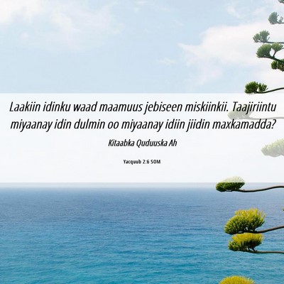 Picture 06 - Yacquub 2:6 SOM - Laakiin idinku waad maamuus jebiseen miskiinkii. - Bible Verse Picture