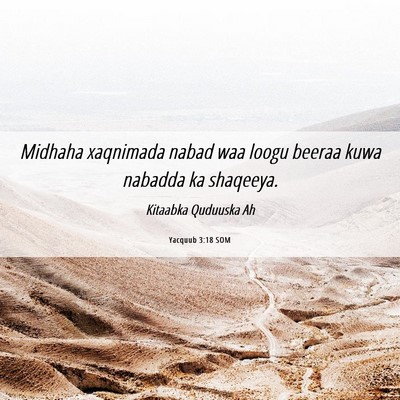 Picture 06 - Yacquub 3:18 SOM - Midhaha xaqnimada nabad waa loogu beeraa kuwa - Bible Verse Picture