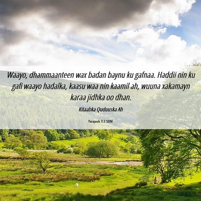 Picture 06 - Yacquub 3:2 SOM - Waayo, dhammaanteen wax badan baynu ku gafnaa. - Bible Verse Picture