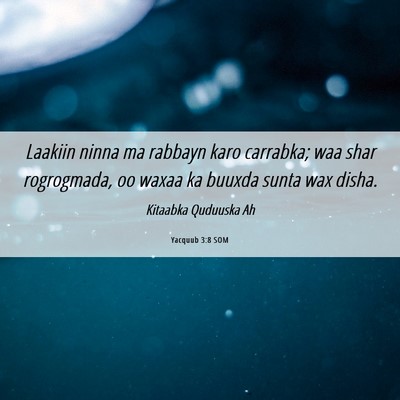 Picture 06 - Yacquub 3:8 SOM - Laakiin ninna ma rabbayn karo carrabka; waa shar - Bible Verse Picture
