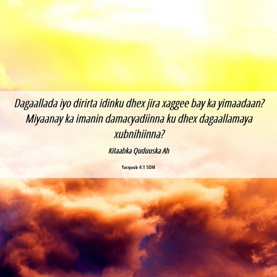 Picture 06 - Yacquub 4:1 SOM - Dagaallada iyo dirirta idinku dhex jira xaggee - Bible Verse Picture