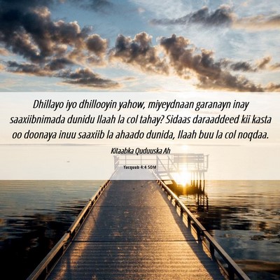 Picture 06 - Yacquub 4:4 SOM - Dhillayo iyo dhillooyin yahow, miyeydnaan - Bible Verse Picture