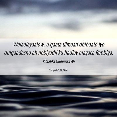 Picture 06 - Yacquub 5:10 SOM - Walaalayaalow, u qaata tilmaan dhibaato iyo - Bible Verse Picture
